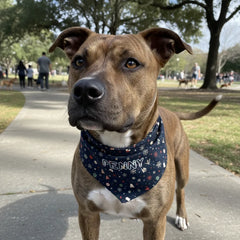 Pitbull Hub™ Personalized Christmas Bandana Collar