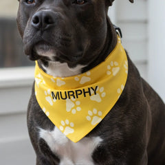 Pitbull Hub™ Personalized Paw Bandana Collar